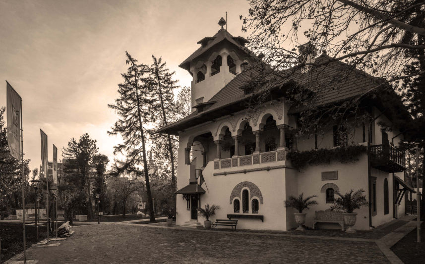 Vila Minovici 